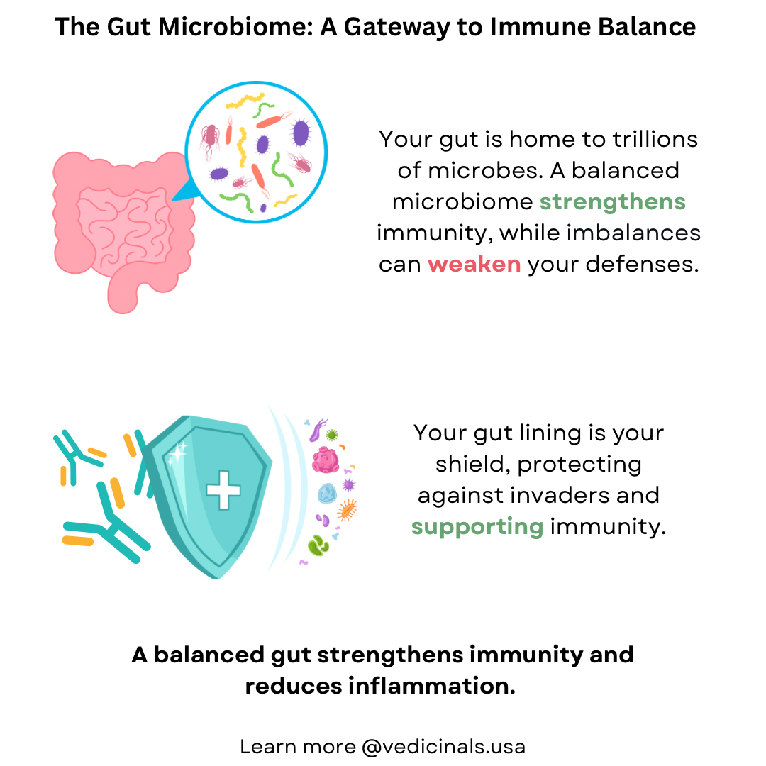 Gut Health and Immunity - Why Your Microbiome Matters