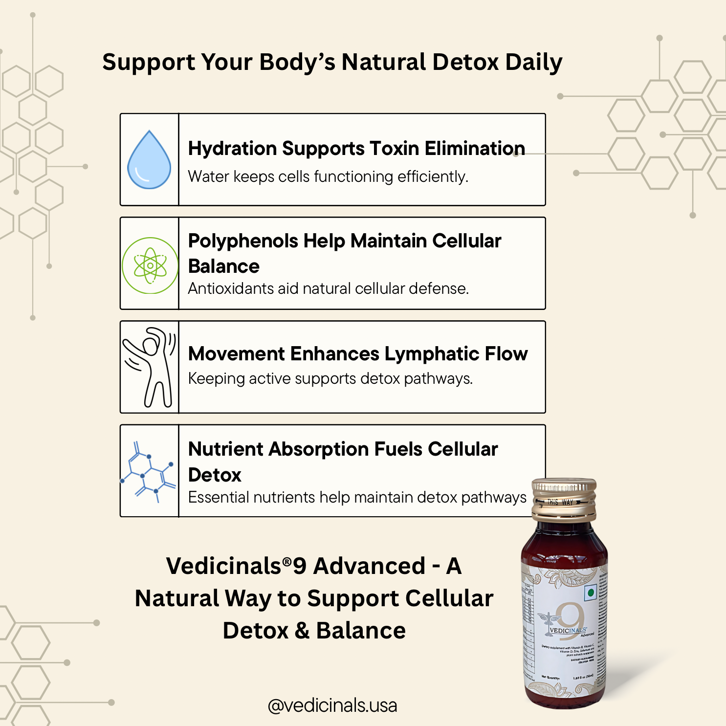 The Link Between Detoxification & Cellular Health