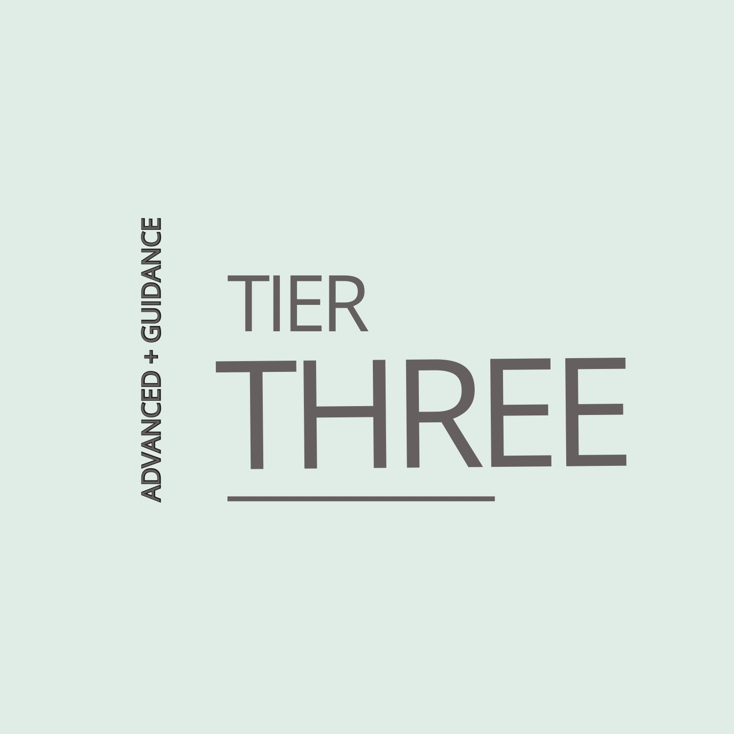 Advanced + Guidance Support – 12 Week Framework