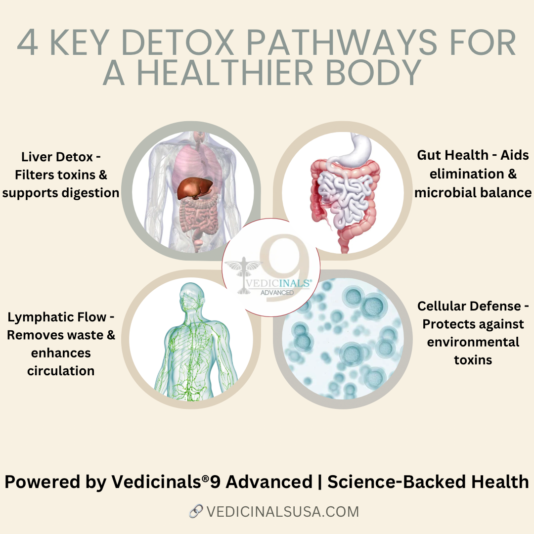 How to Detox Your Body Naturally: Simple, Science-Backed Strategies