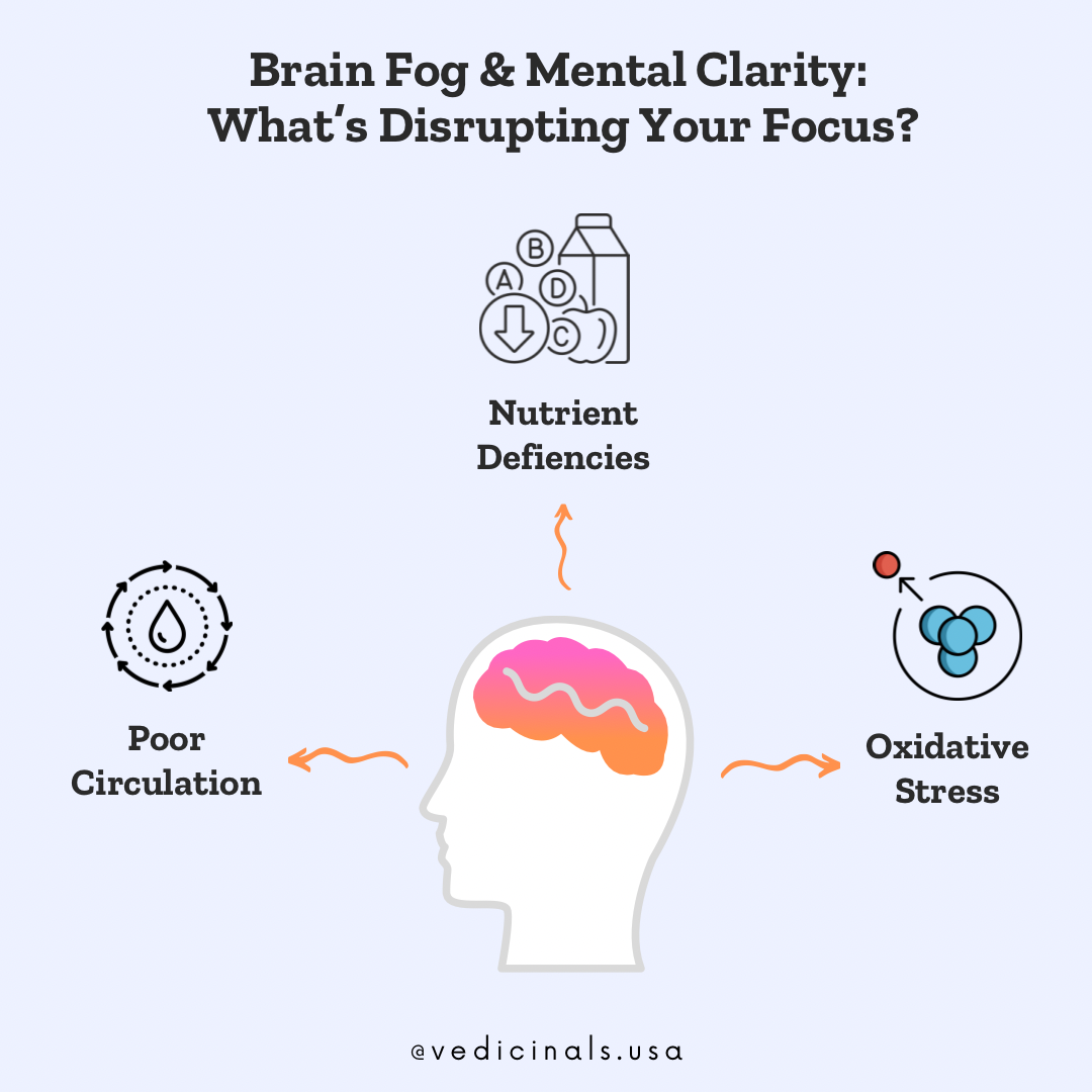 Brain Fog & Focus: The Link Between Cellular Health & Mental Clarity
