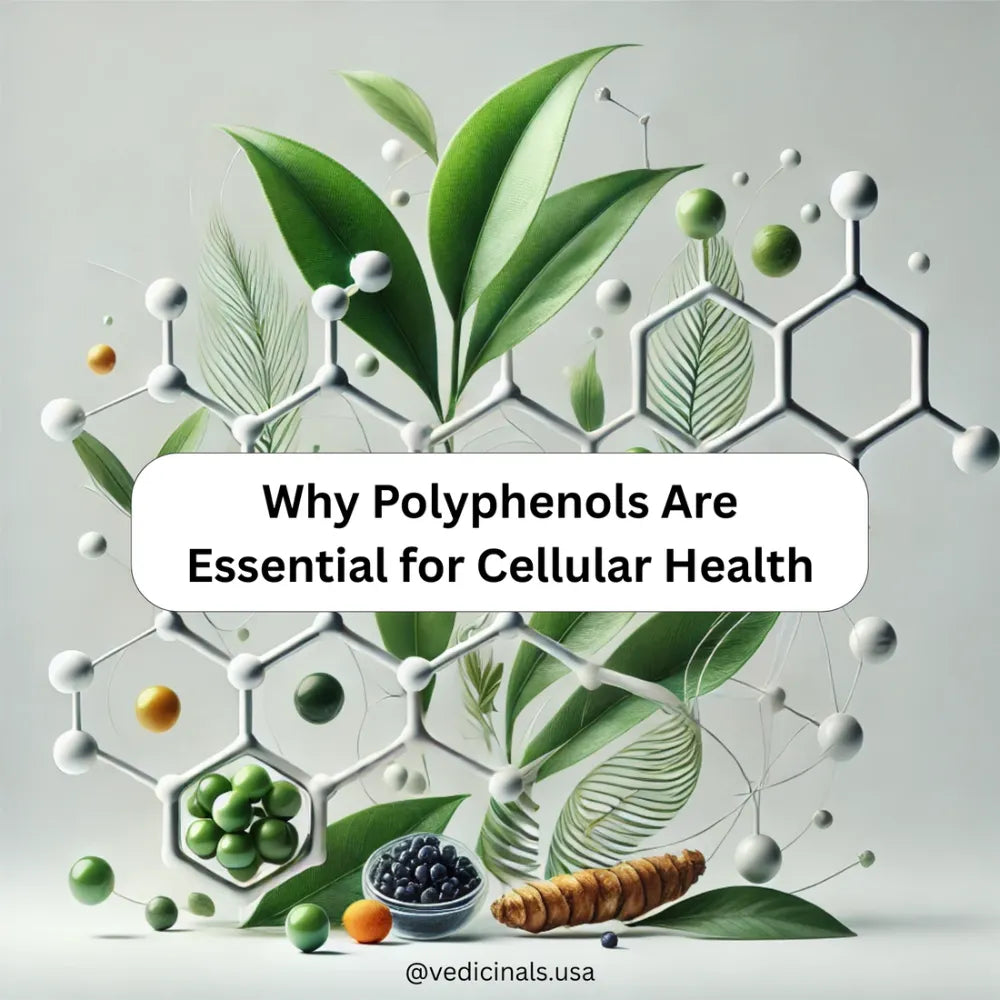 The Role of Polyphenols in Cellular Health & Longevity