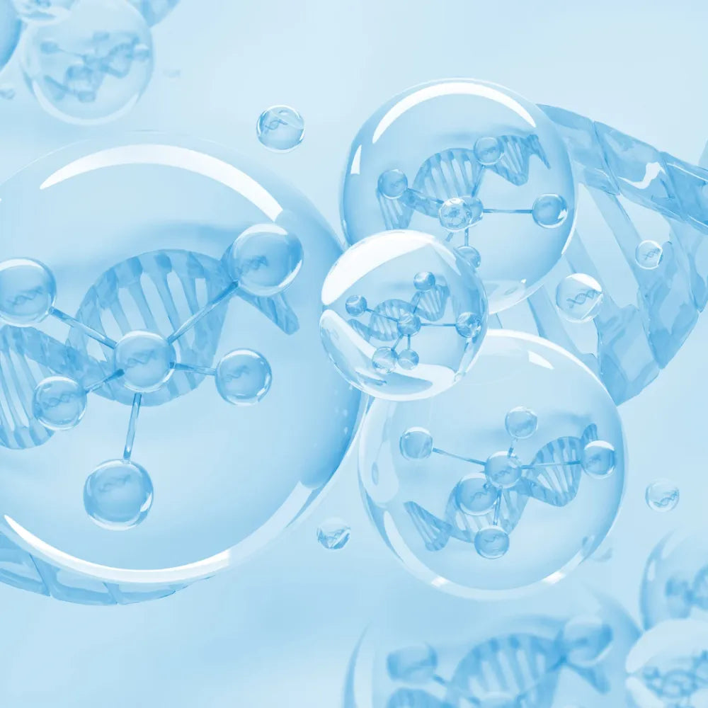 The Truth About Toxins: How to Support Your Body’s Natural Detox Pathways