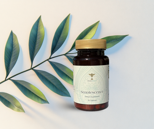 Senolescence