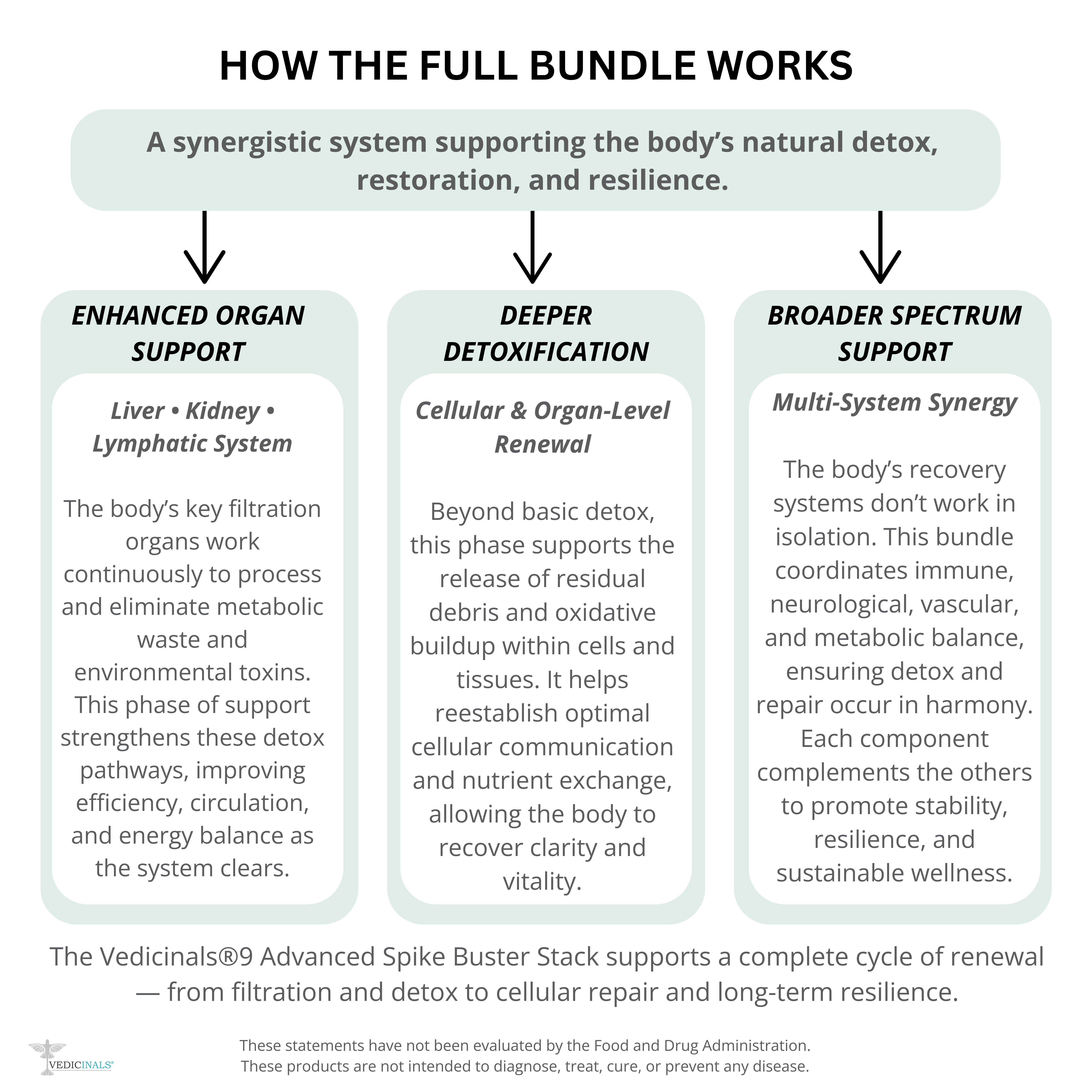 Vedicinals®9 Advanced Spike Buster Stack
