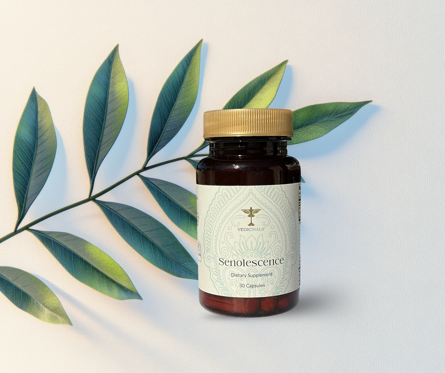 Vedicinals®9 Bundle – Vitamin, Mineral & Oil Blend for Detox & Immunity | Fish Oil Omega & Gluten-Free