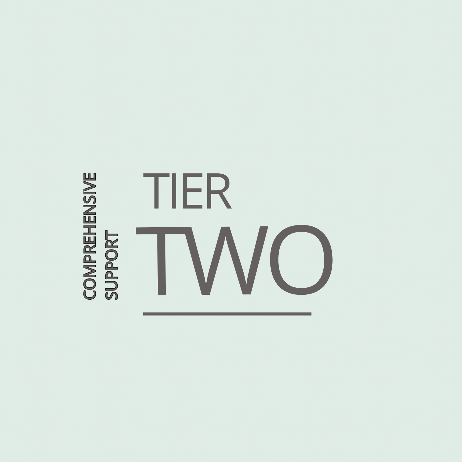 Comprehensive Support – 12 Week Framework